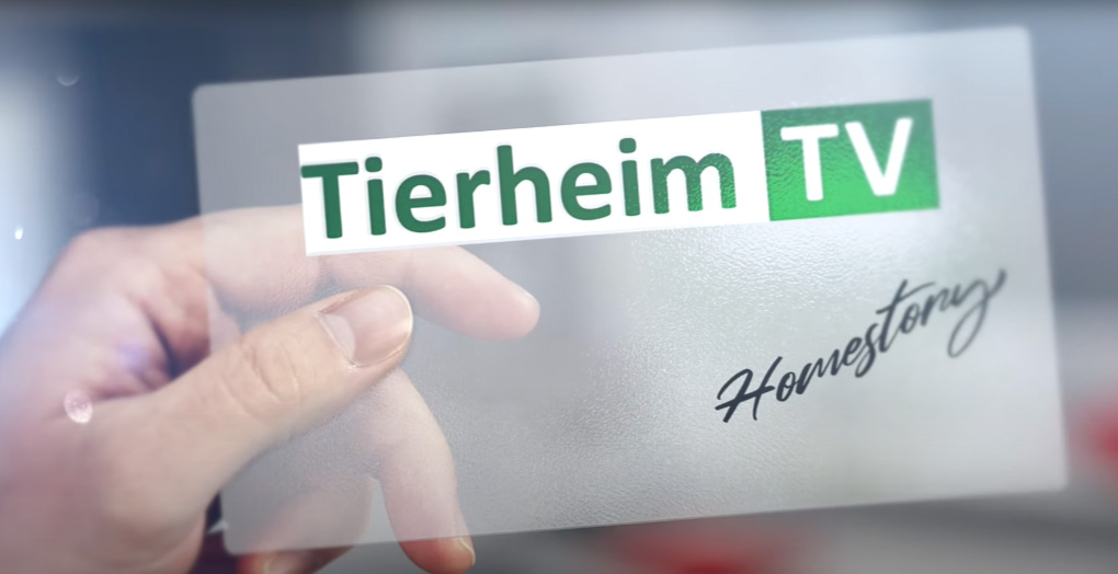 Tierheim TV Homestories