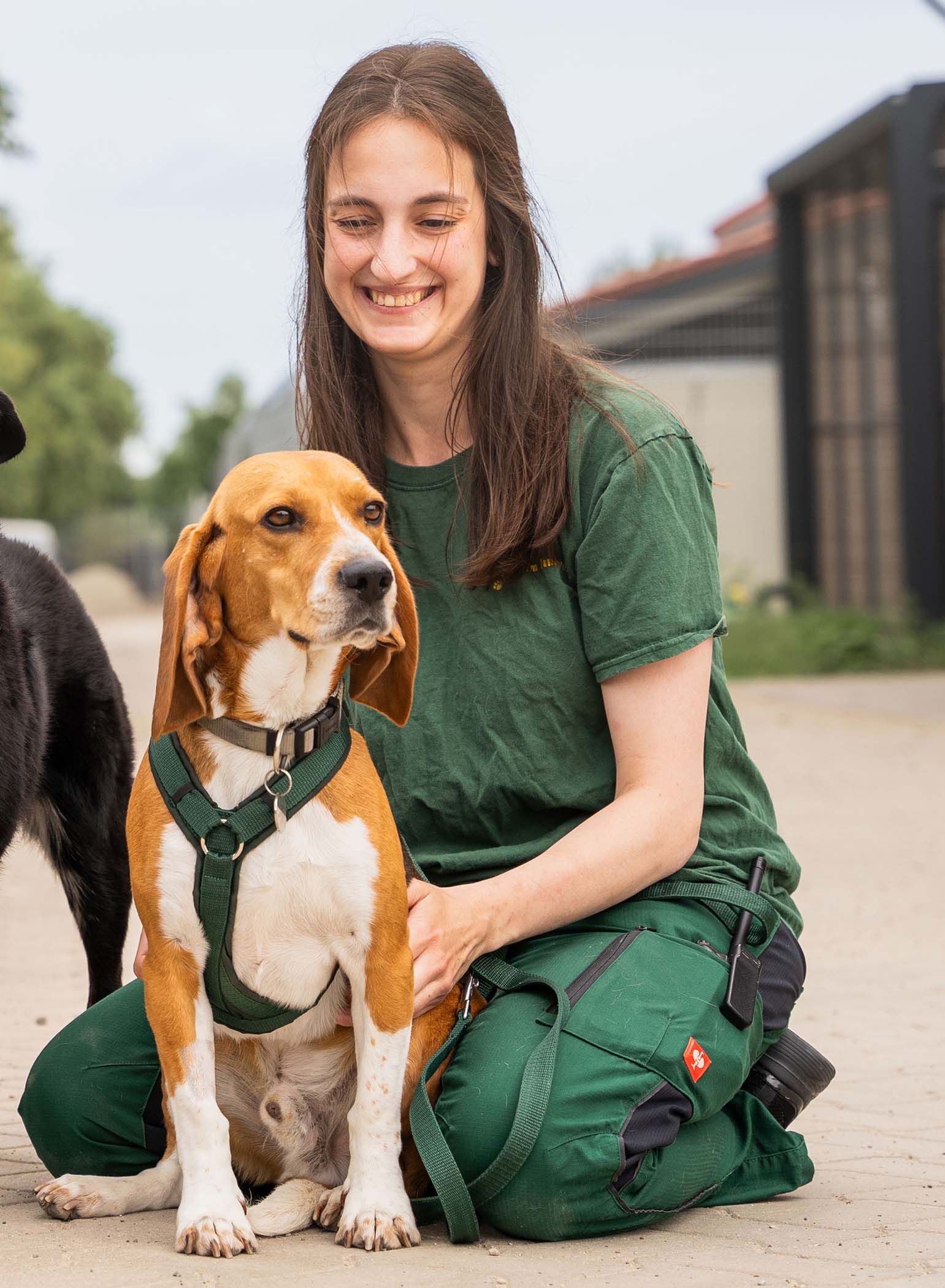 Hundevermittlung - Tierheim Hannover