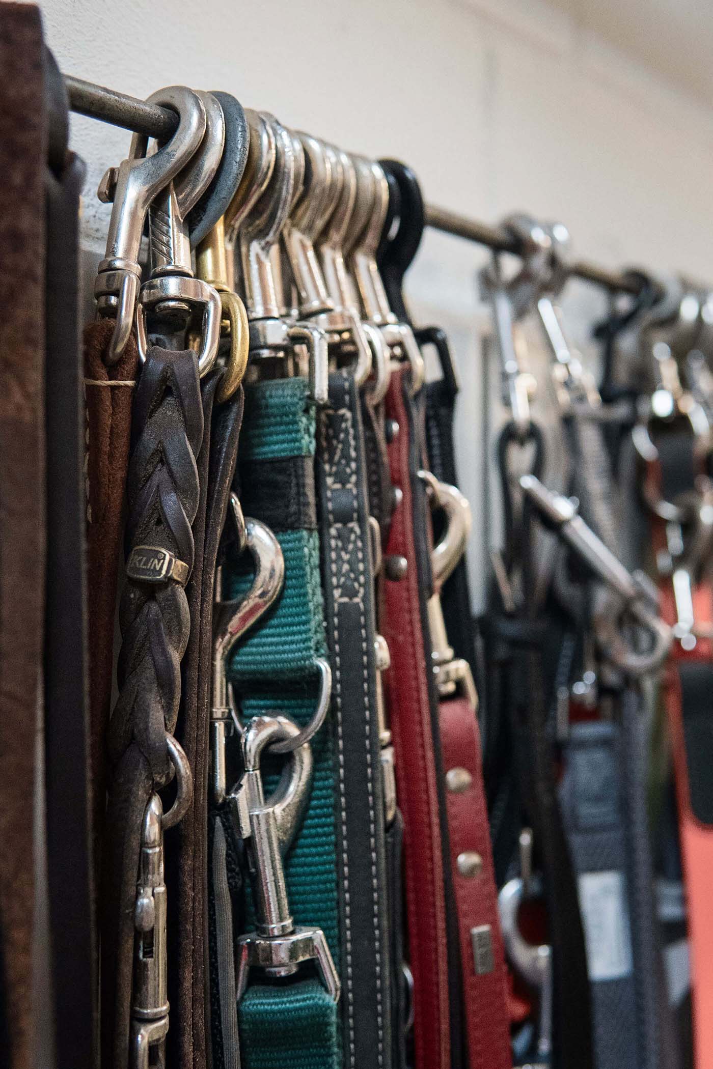 Spenden an das Tierheim! Sachspenden und Wunschlisten