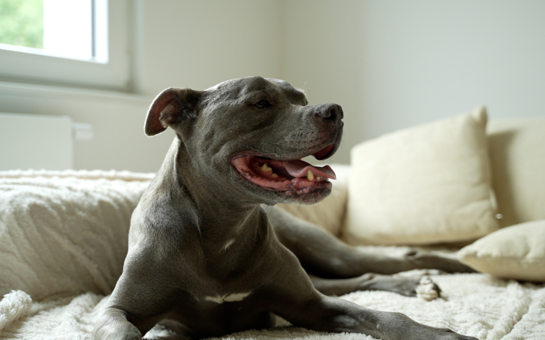 Happy End für Silence