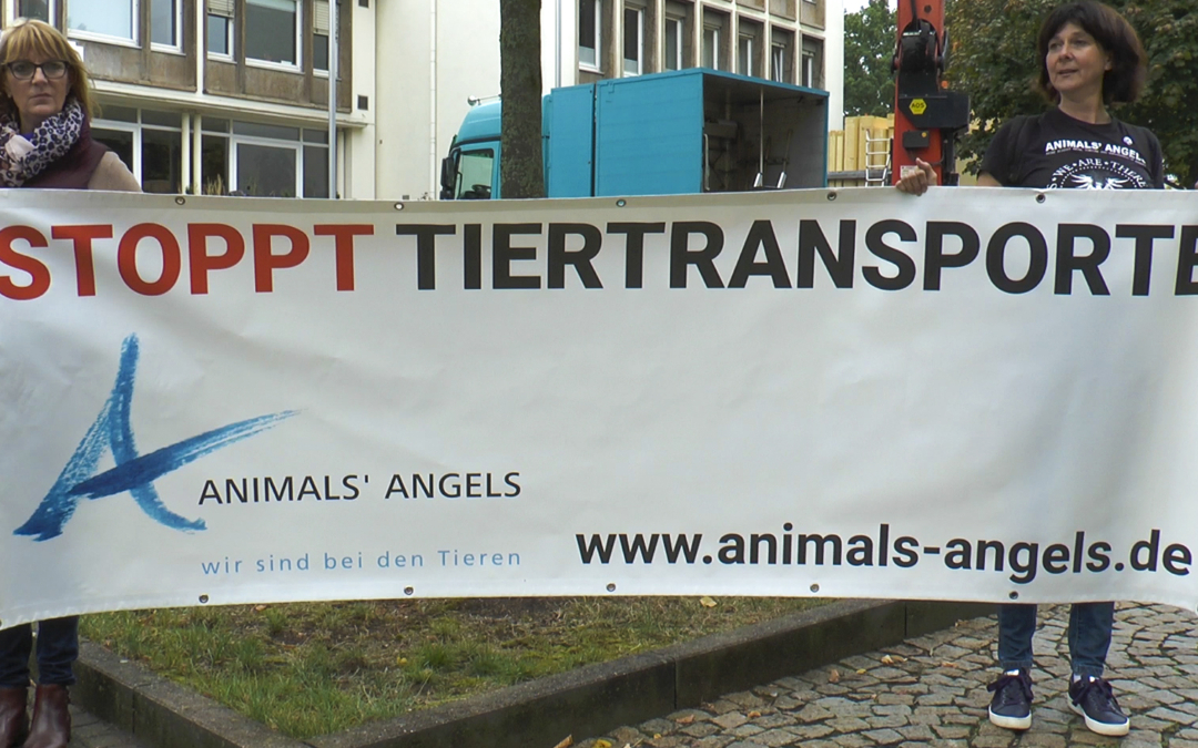 Mahnwache gegen Tiertransporte vor dem Landwirtschaftsministerium in Hannover