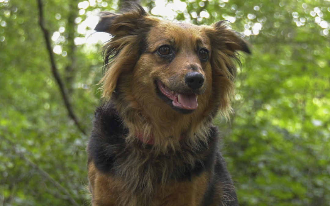 Happy End für Sissy