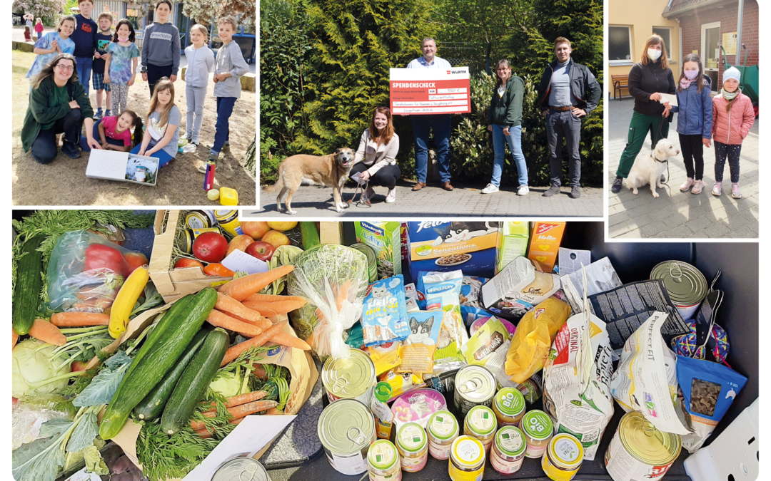 Wir sagen „Danke“ 2-2022