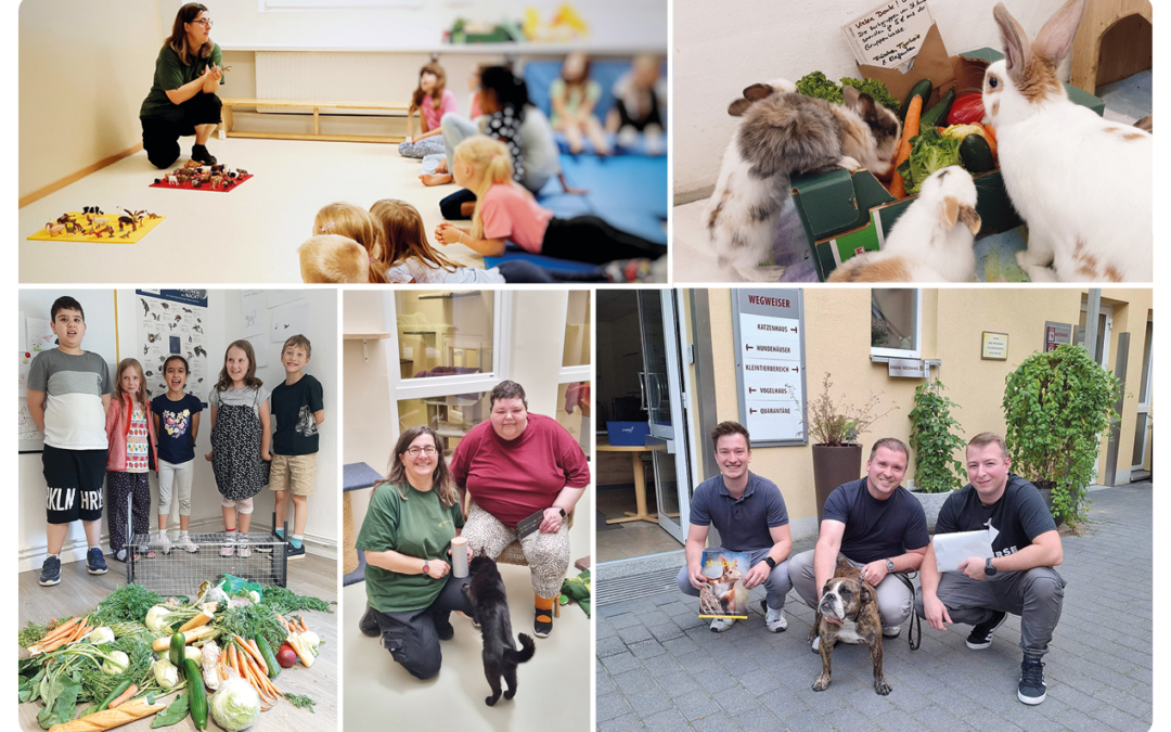 Wir sagen „Danke“-03-2023