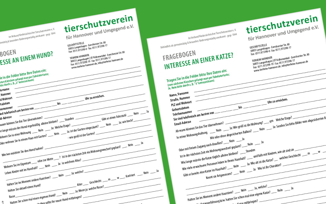 Wichtige Hinweise zur Vermittlung