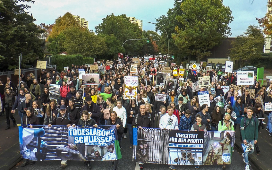 LPT-Labor darf wieder Tierversuche durchführen