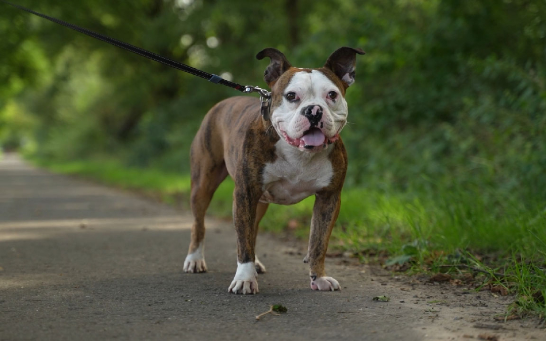 Happy End für Apollo