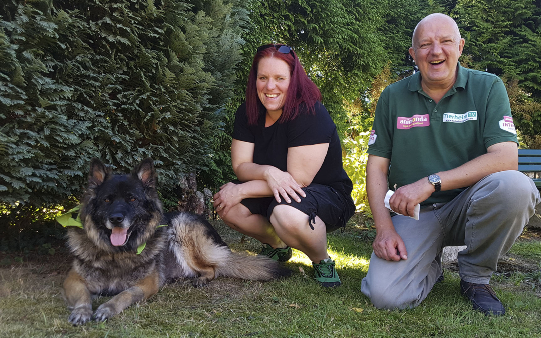 Happy End für Buddy