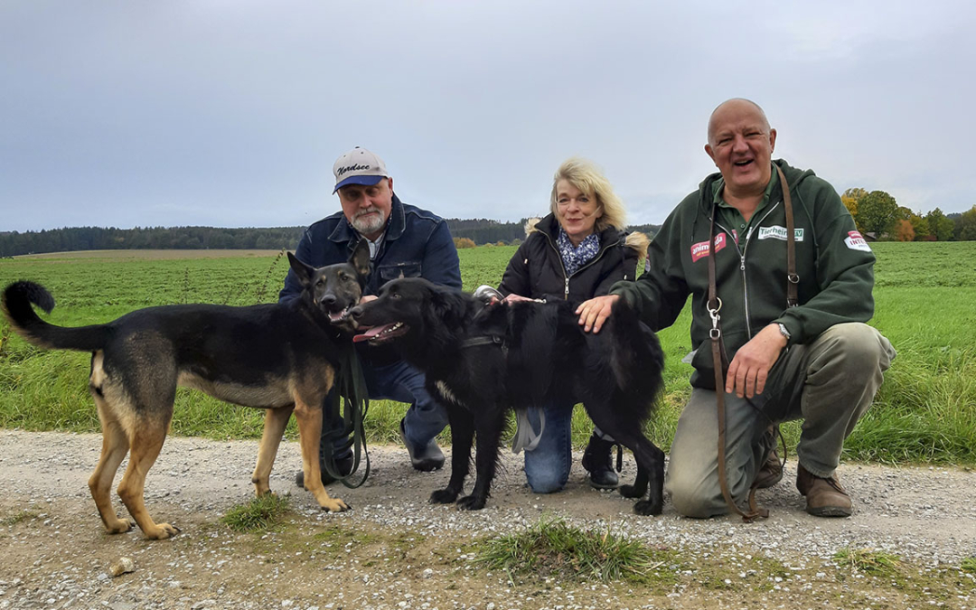 Luna & Teddy – doppeltes Glück in Dassel