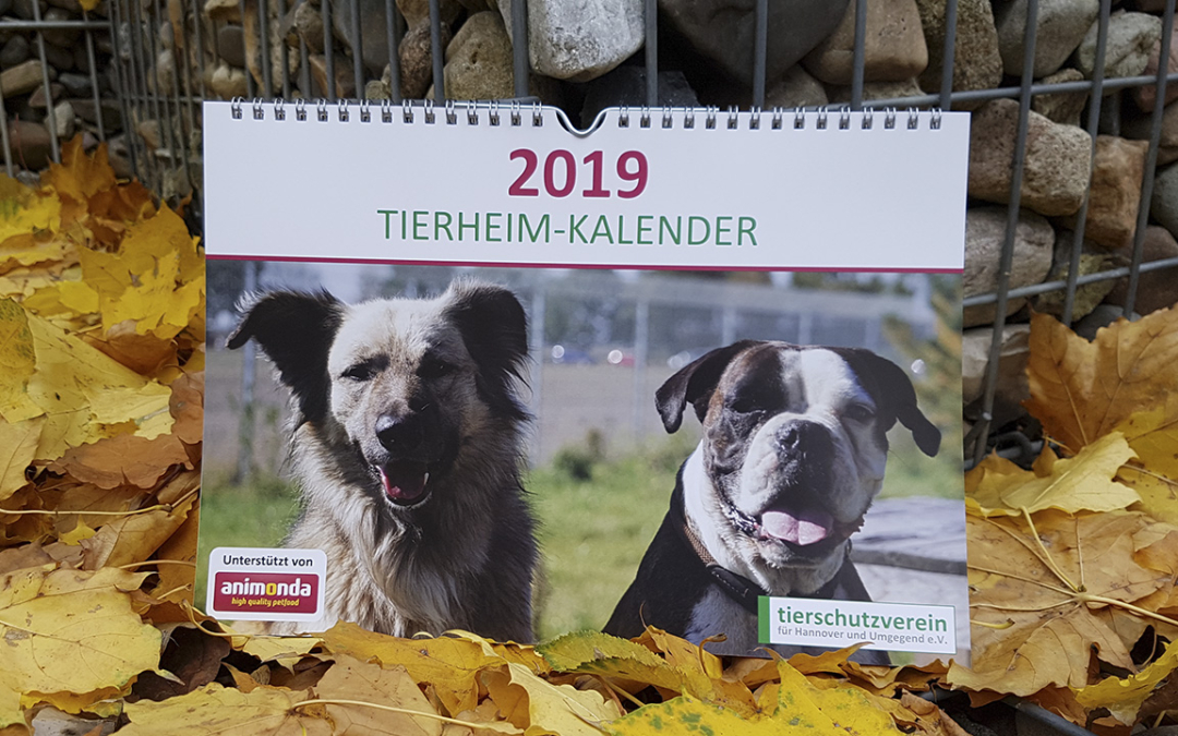 Tierheim-Kalender 2019