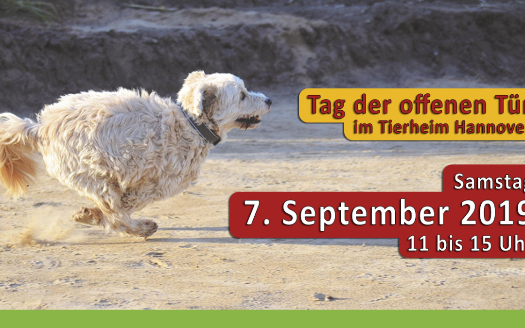 Tag der offenen Tür am 7. September 2019