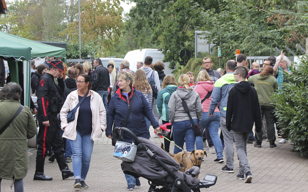 Bericht vom Tag der offenen Tür 2019