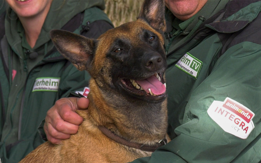 TierheimTV-Vermittlung | Oktober 2021