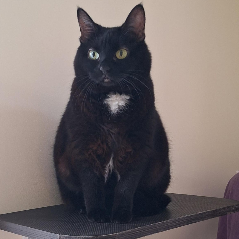 cookie3-profilbild-20250730