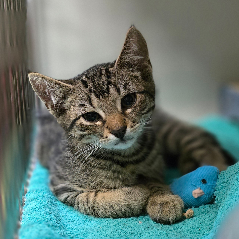 geo-titelbild-20250812