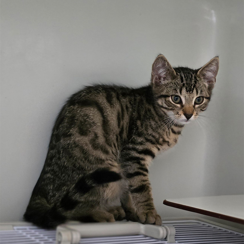 geo1-profilbild-20250812