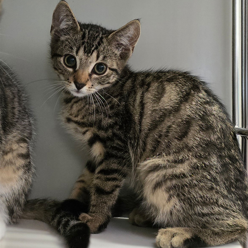 geo2-profilbild-20250812