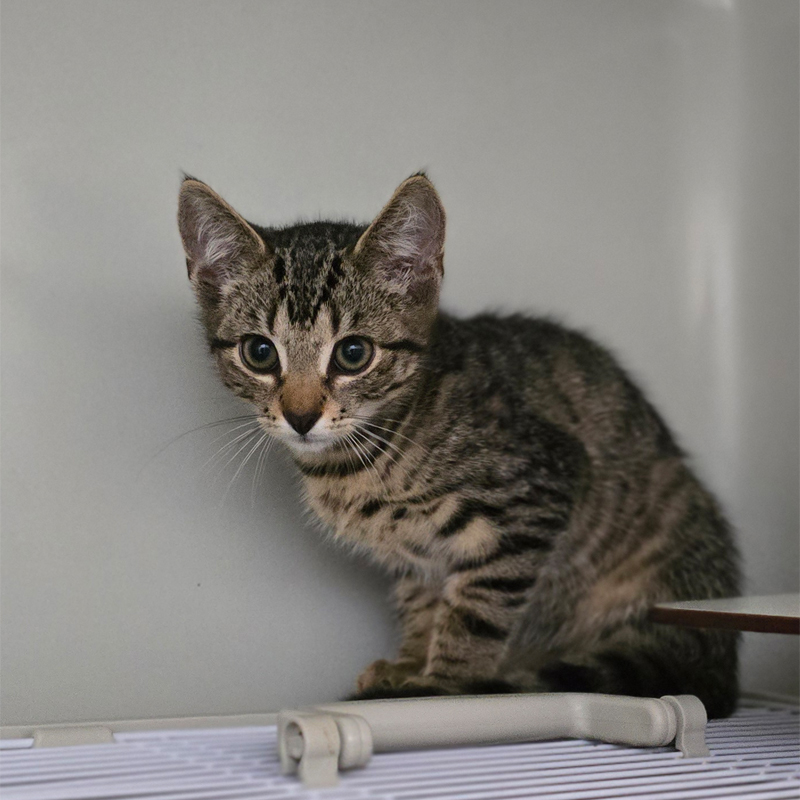 geo3-profilbild-20250812