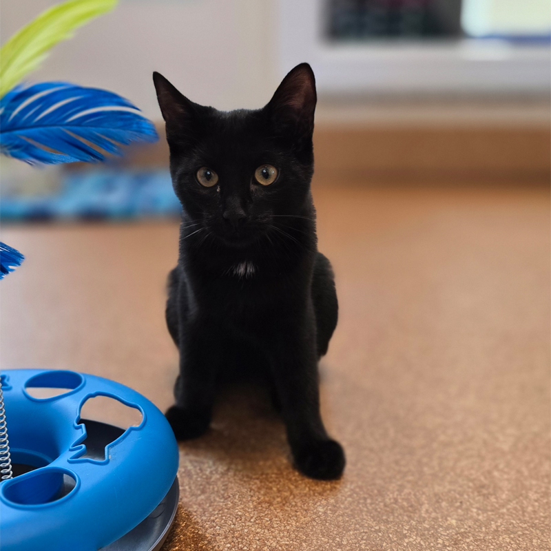 julia1-profilbild-20250806