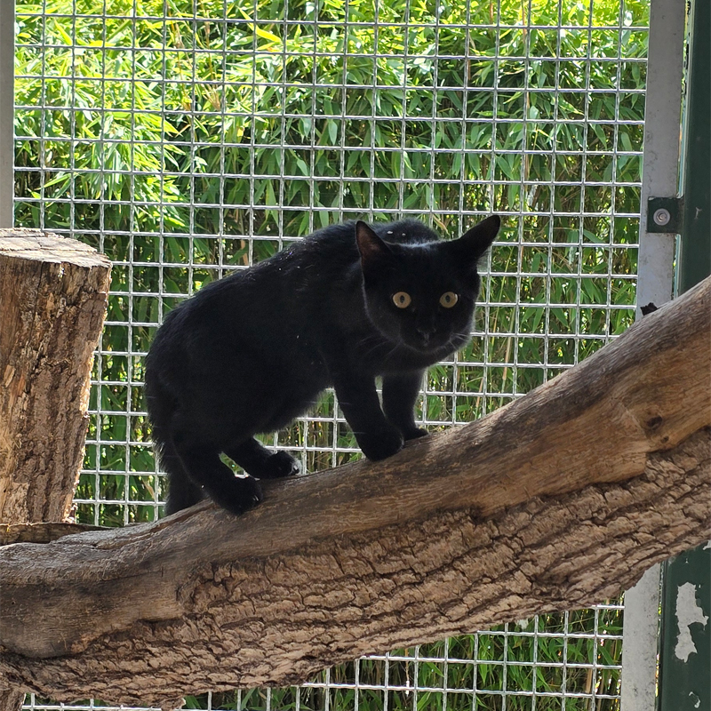 julia3-profilbild-20250806