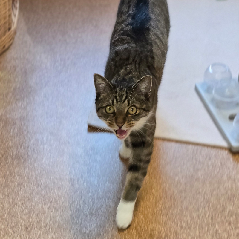 liam1-profilbild-20250715