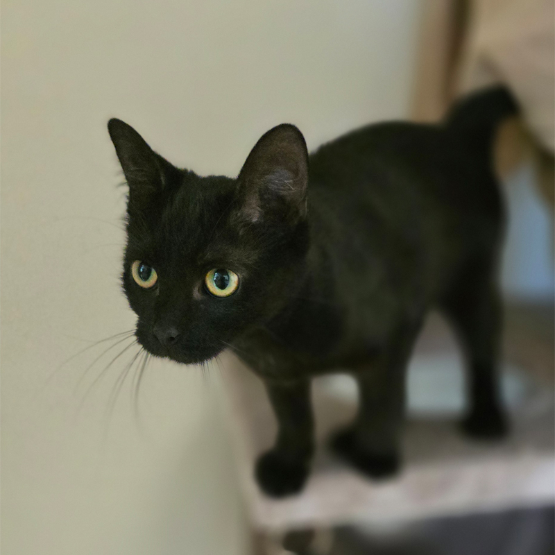 lilani3-profibild-20250715