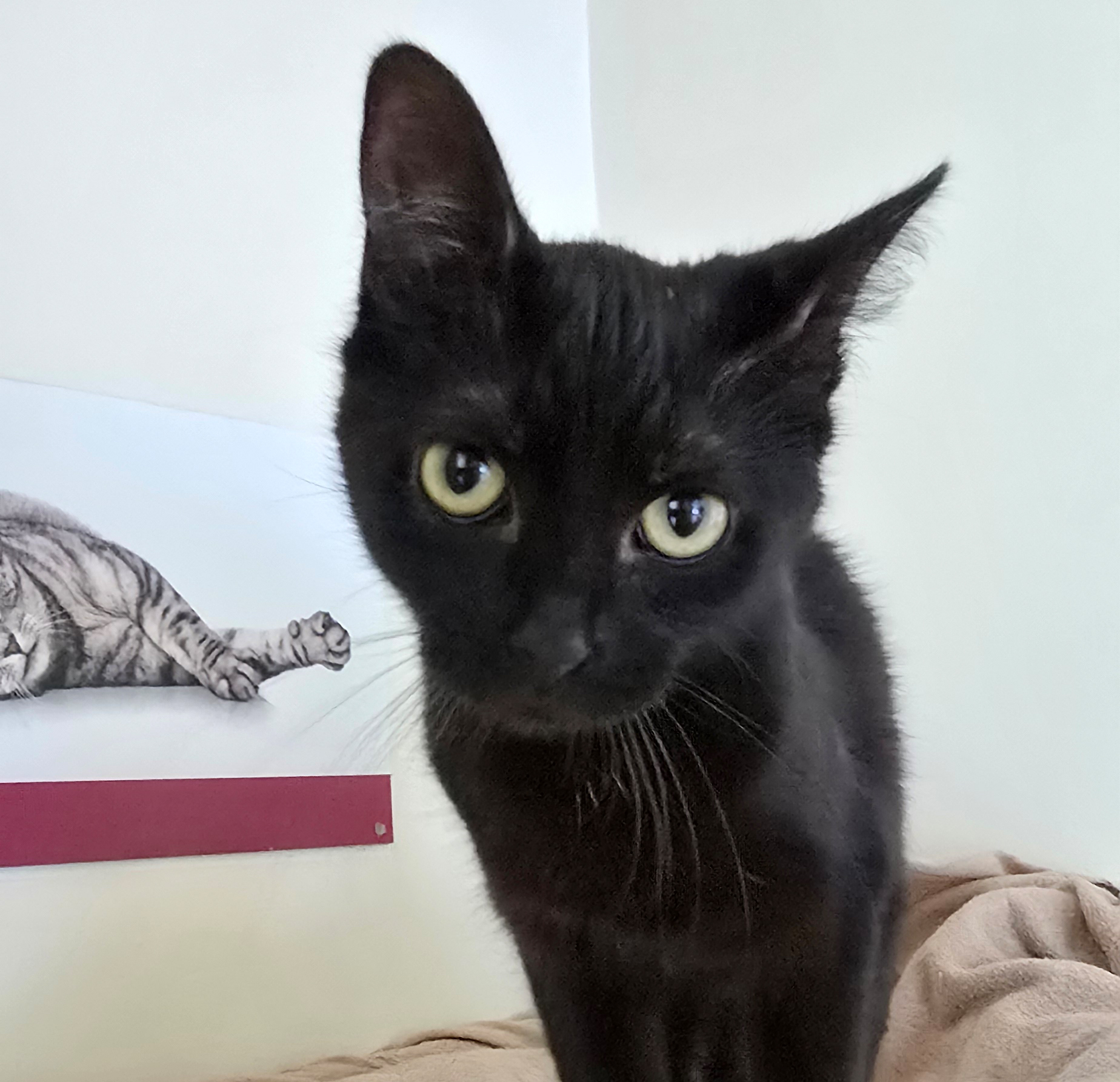 lilani5-profibild-20250715