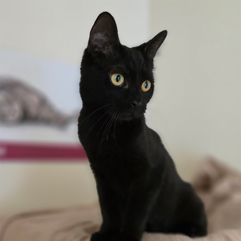 lilani6-profibild-20250715