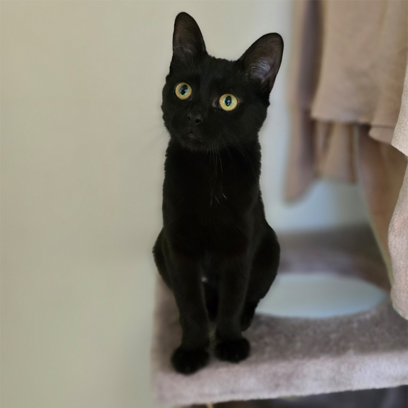 lilani7-profibild-20250715