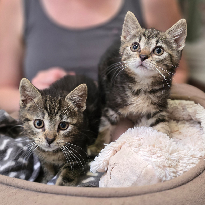 lukelissy1-profilbild-20250715