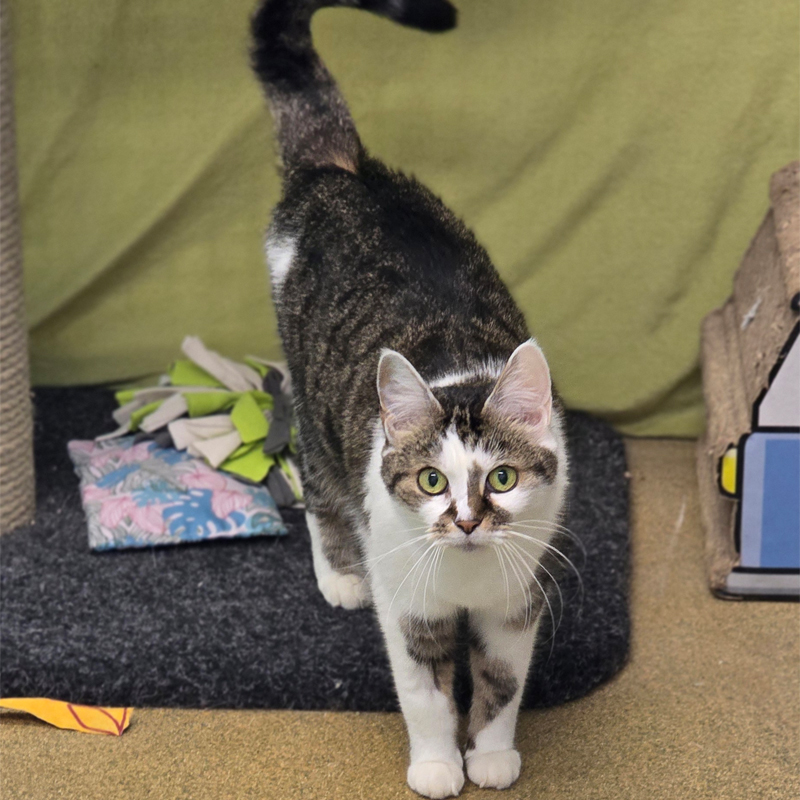 molly1-profilbild-20250808