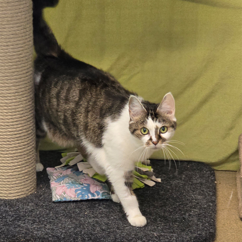 molly2-profilbild-20250808