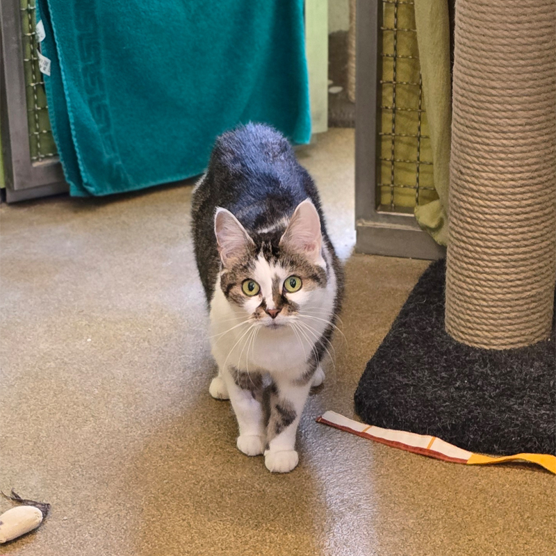 molly3-profilbild-20250808