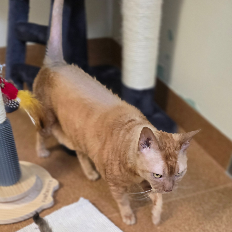 pablo2-profilbild-20250715