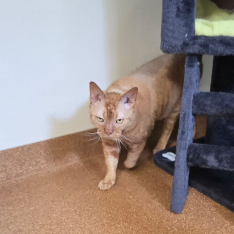 pablo3-profilbild-20250715