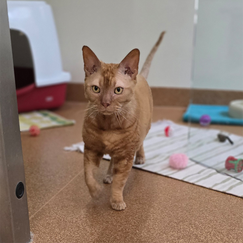 pablo4-profilbild-20250715