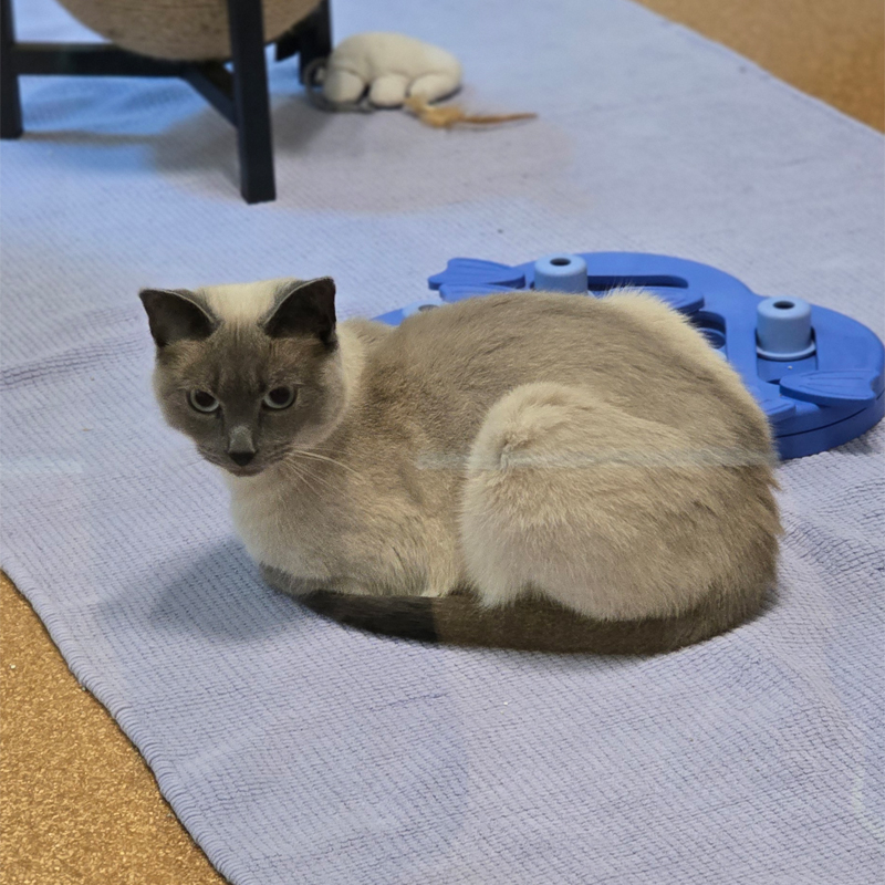 pepou2-profilbild-20250801