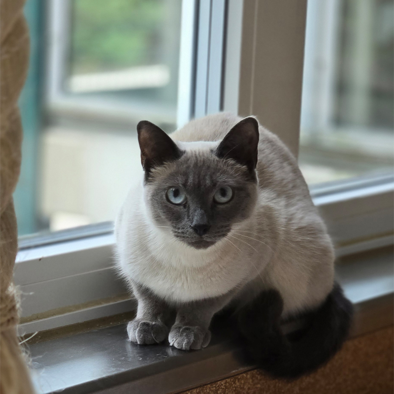 pepou3-profilbild-20250801