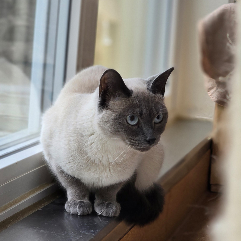 pepou5-profilbild-20250801