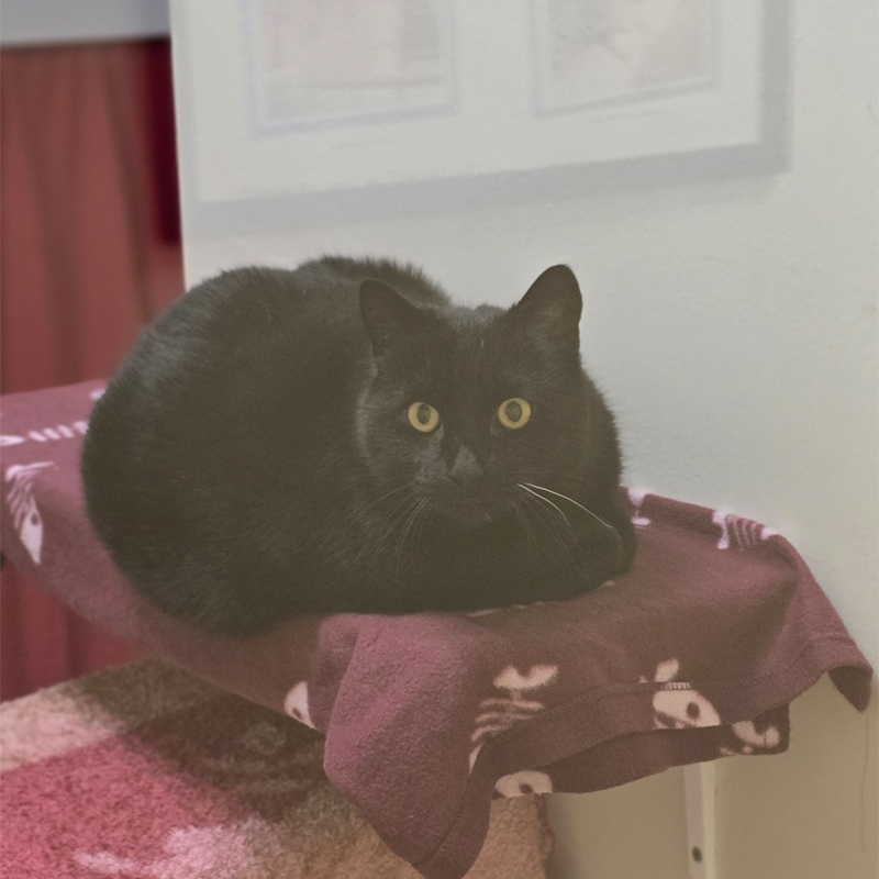 sam1-profilbild-20250715