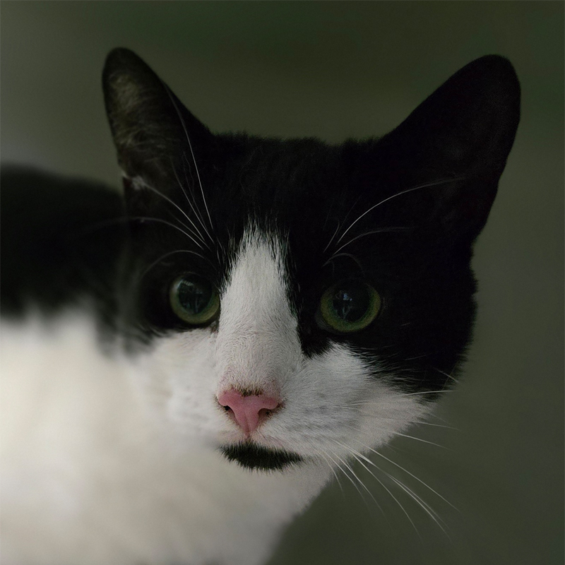 skyo-titelbild-20250801