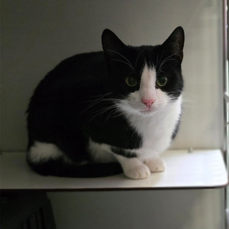 soro2-profilbild-20250806