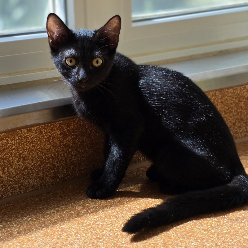 tajo1-profilbild-20250709