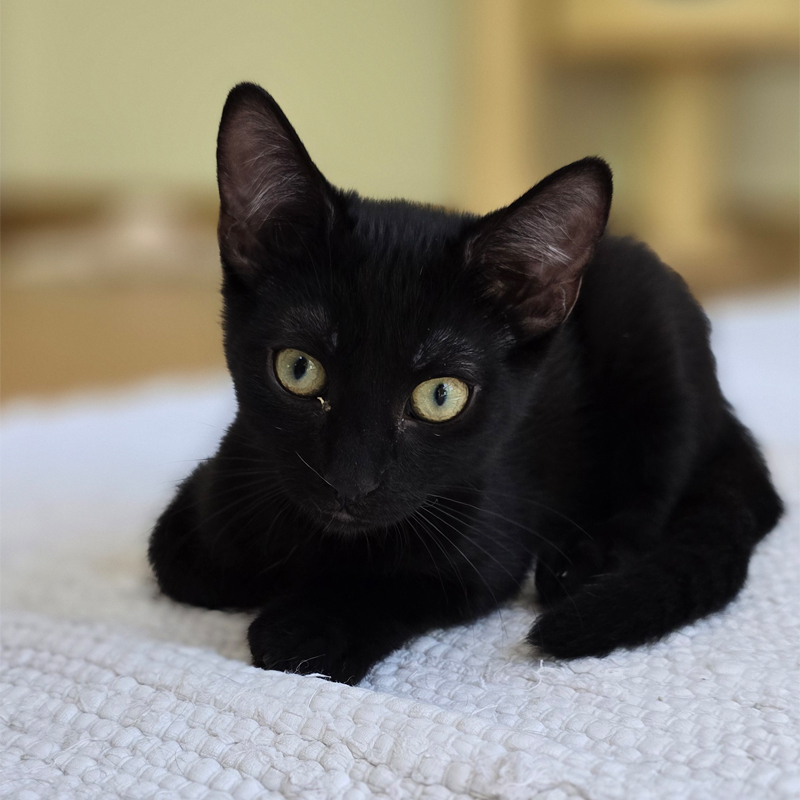 tajo2-profilbild-20250709