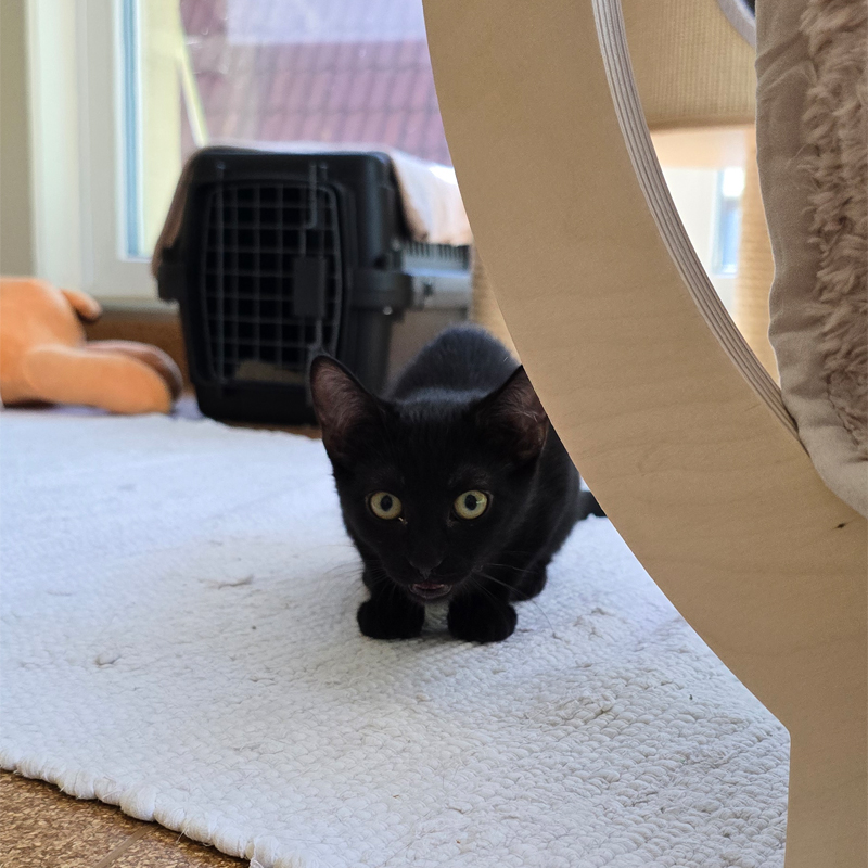 tajo3-profilbild-20250709