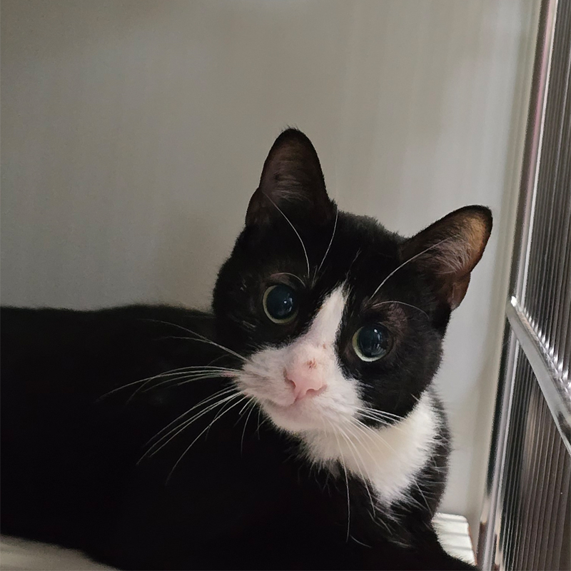 tinka1-profilbild-20250722