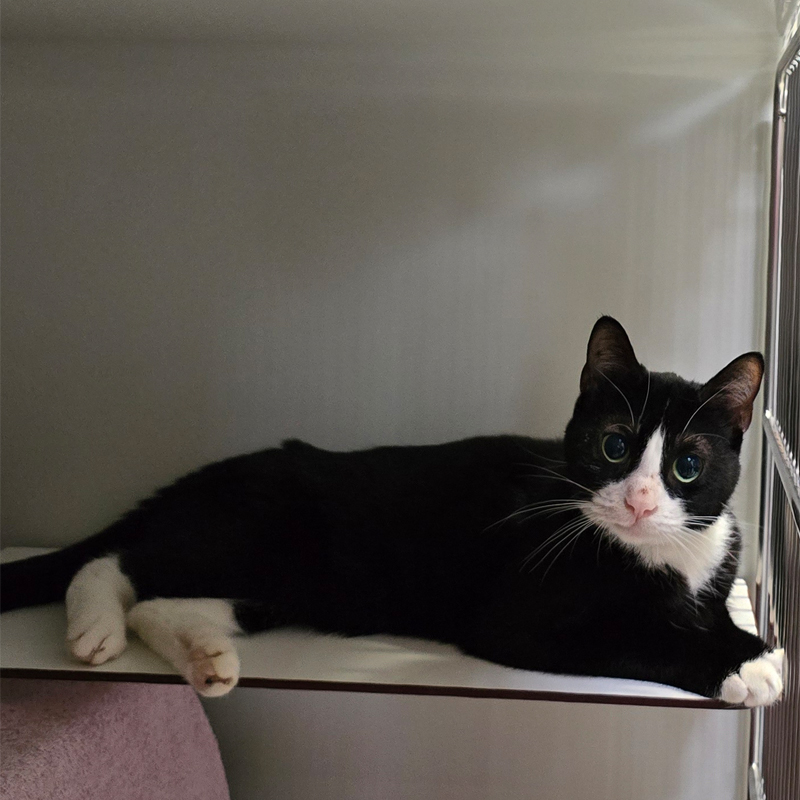 tinka2-profilbild-20250722